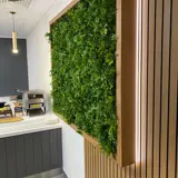 Office fit out kitchen reception green plant wall feature